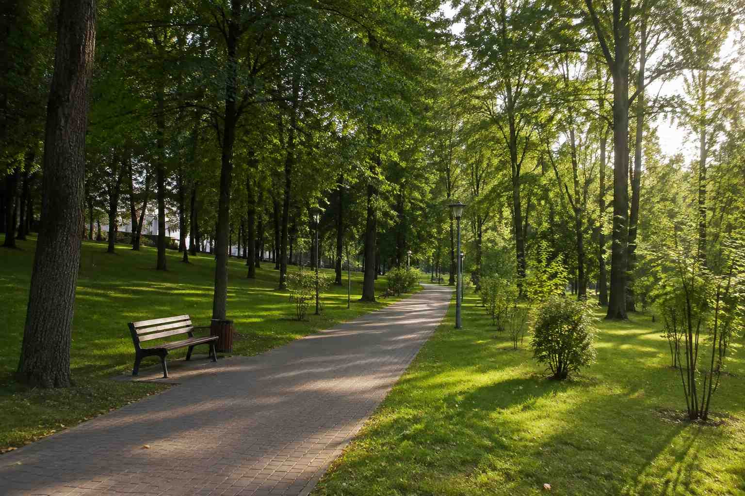 https://rybinsk.blago-s.ru/storage/app/uploads/public/6a7/eef/ed2/6a7eefed2af22038960370.jpg